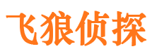 平桥寻人公司